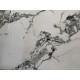 ΠΑΝΕΛ ΤΟΙΧΟΥ ΕΣΩΤΕΡΙΚΟΥ ΧΩΡΟΥ CALACATTA 104 PVC 0,28x122x280cm
